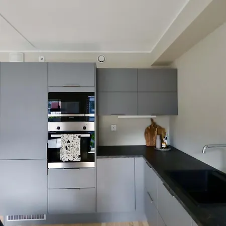 Apartment Nyoppusset Med Utsikt Og Takterrasse