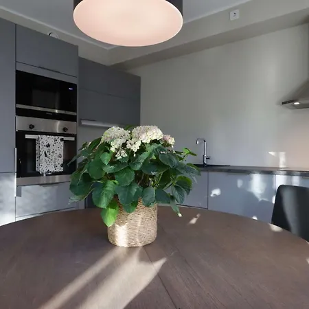 Apartmán Nyoppusset Med Utsikt Og Takterrasse Bergen